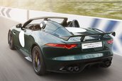 Jaguar Project 7