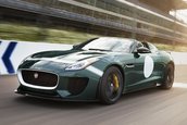 Jaguar Project 7