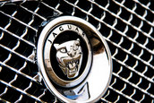 Jaguar XF de vanzare