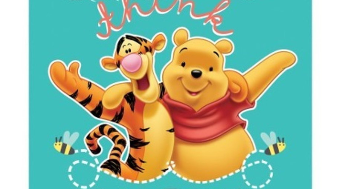 Jaluzea Geam 36X45Cm, Winnie The Pooh Disney D59319