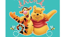 Jaluzea Geam 36X45Cm, Winnie The Pooh Disney D5931...