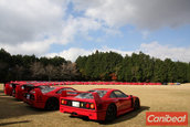 Japan Ferrari F40 Meet