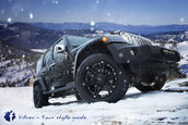 Jeep Wrangler by Vilner