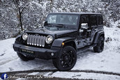 Jeep Wrangler by Vilner