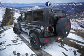 Jeep Wrangler by Vilner