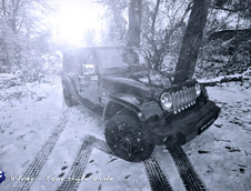 Jeep Wrangler by Vilner