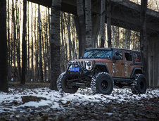 Jeep Wrangler Hunting de la Vilner