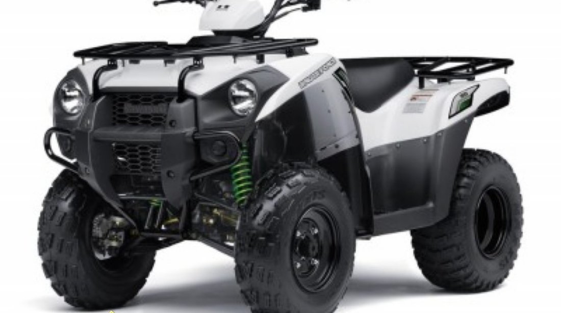 KAWASAKI BRUTE FORCE 300 2016