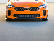 Kia Stinger Federation