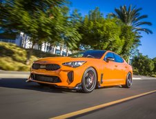 Kia Stinger Federation