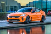 Kia Stinger Federation