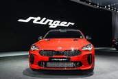 Kia Stinger - Poze Reale