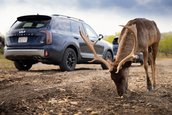 Kia Telluride Facelift - Galerie foto