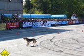 King of Europe - Drift Session