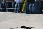 King of Europe - Drift Session