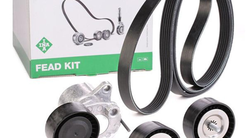 Kit Curea Transmisie Ina 529 0321 10