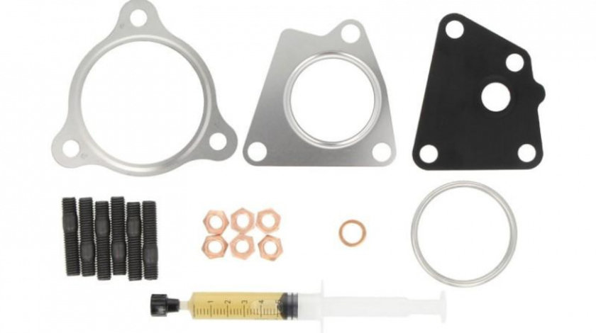 Kit garnituri turbo Audi AUDI A4 (8EC, B7) 2004-2008 #2 041017801