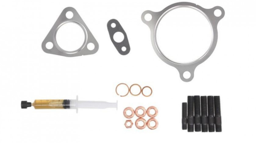 Kit garnituri turbo Audi AUDI TT (8N3) 1998-2006 #2 53049880020