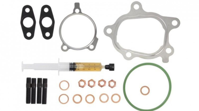 Kit garnituri turbo BMW BMW 1 cupe (E82) 2007-2016 #2 53169880016