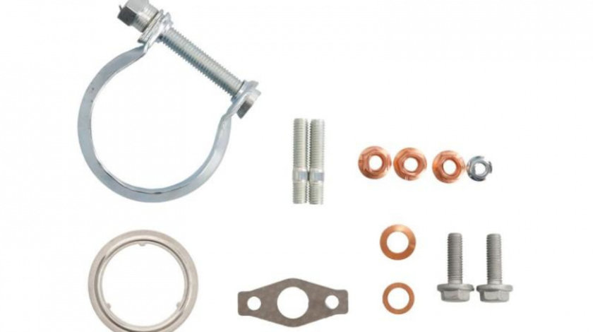 Kit garnituri turbo Ford S-Max (2006->) #2 041022501