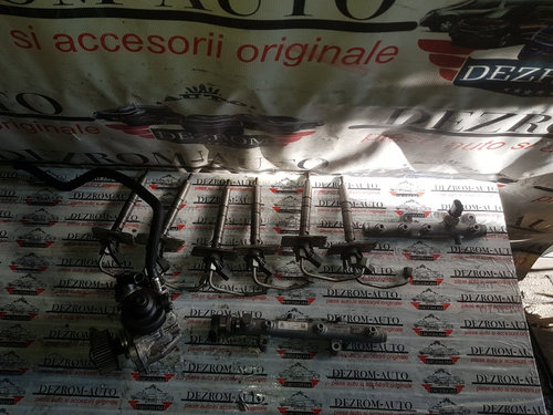 Kit Injectie Audi Q7 4L 3.0 TDI tip motor casa 240 cai