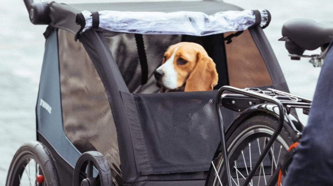 Kit transport animale pentru remorca de bicicleta Thule Courier