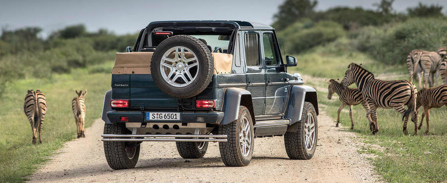 L-au scos printre zebre si girafe ca sa ni-l arate din nou. Poze si filme proaspete cu Maybach G650 Landaulet L-au scos printre zebre si girafe ca sa ni-l arate din nou. Poze si filme proaspete cu Maybach G650 Landaulet