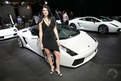 LA Auto Show 2006