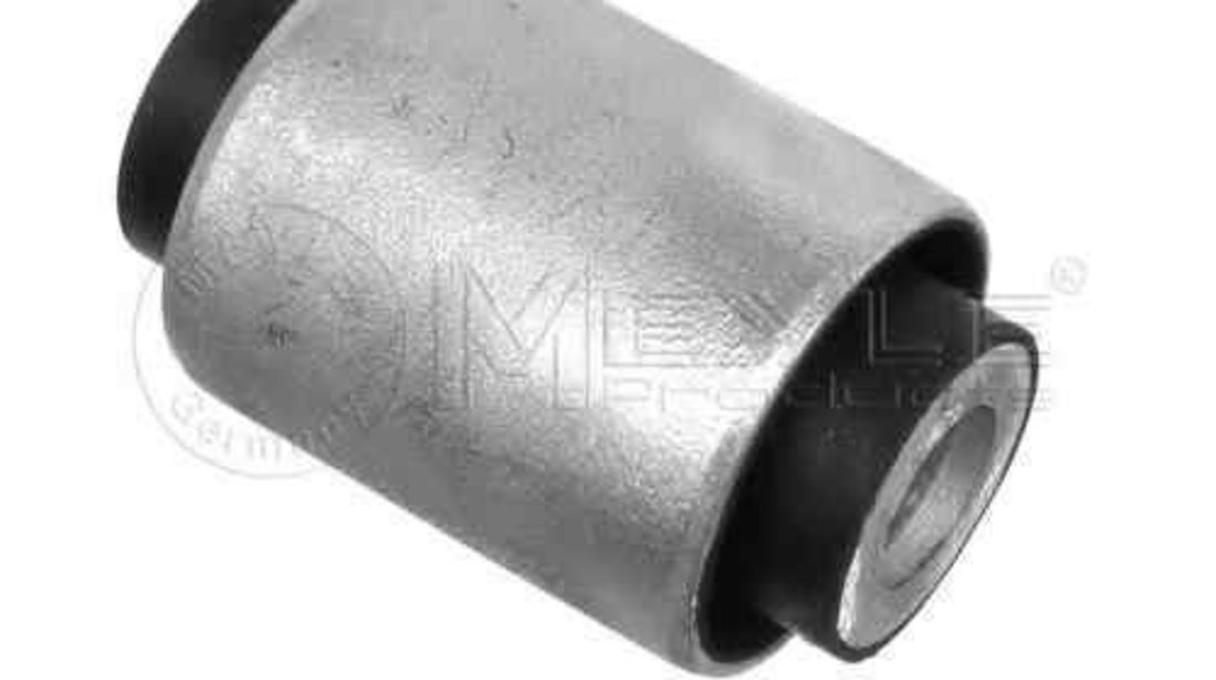 Lagar, fixare ax BMW 3 cupe (E46) MEYLE 300 333 2102