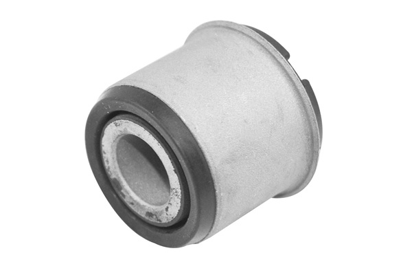 Lagar, suport ax spate (TED30369 TED) FORD,VOLVO