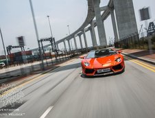 Lamborghini Aventador by DMC