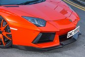 Lamborghini Aventador by DMC