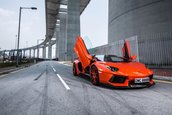 Lamborghini Aventador by DMC