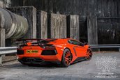 Lamborghini Aventador by DMC