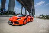 Lamborghini Aventador by DMC