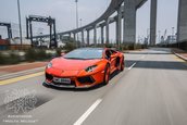 Lamborghini Aventador by DMC