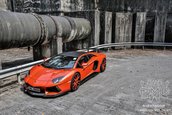 Lamborghini Aventador by DMC