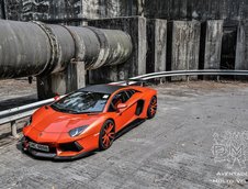 Lamborghini Aventador by DMC