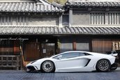 Lamborghini Aventador de la Aimgain