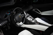 Lamborghini Aventador Roadster Art Car