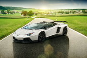 Lamborghini Aventador Roadster by Novitec Torado