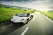 Lamborghini Aventador Roadster by Novitec Torado