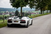 Lamborghini Aventador Roadster by Novitec Torado