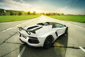 Lamborghini Aventador Roadster by Novitec Torado