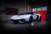 Lamborghini Aventador Roadster Neidfaktor