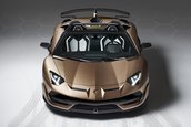 Lamborghini Aventador SVJ Roadster