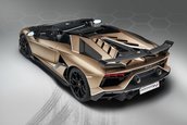 Lamborghini Aventador SVJ Roadster