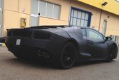 Lamborghini Cabrera - Poze Spion