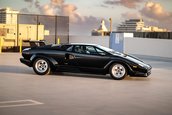 Lamborghini Countach 25th Anniversary de vanzare