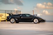 Lamborghini Countach 25th Anniversary de vanzare